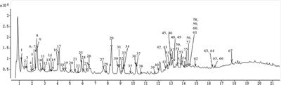 A Metabolomics Coupled With Chemometrics Strategy to Filter Combinatorial Discriminatory Quality Markers of Crude and Salt-Fired Eucommiae Cortex